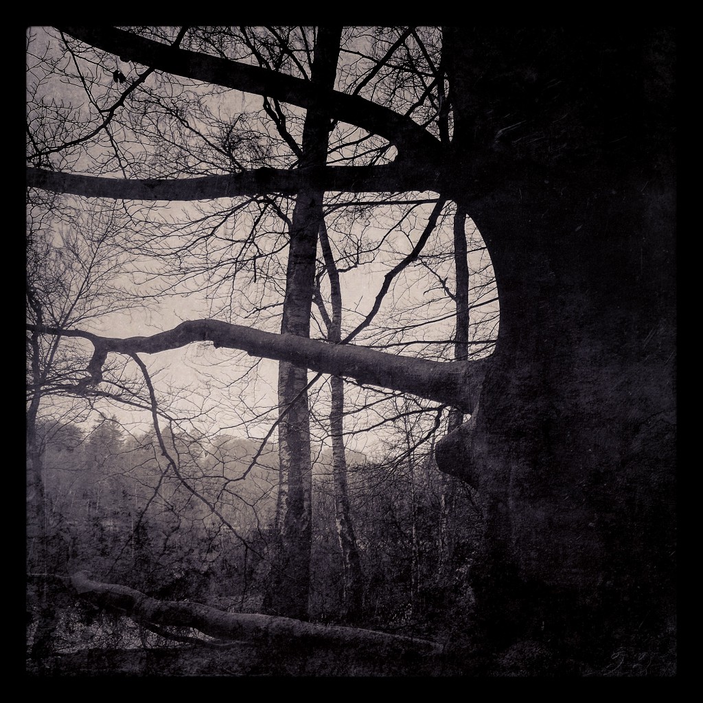 Photography; fotografi; photographer; art; paperwork; papirarbejde; kunst