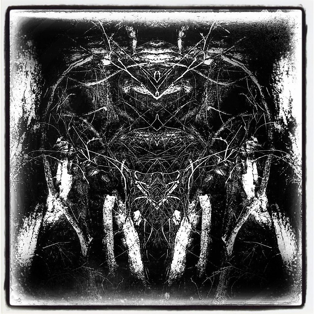 Foto; fotografi; fotocollage; photo; photography; photocollage; photographer; fotograf; art; kunst